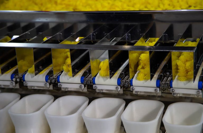 Dry pasta shown on individual multi-head weighers machine