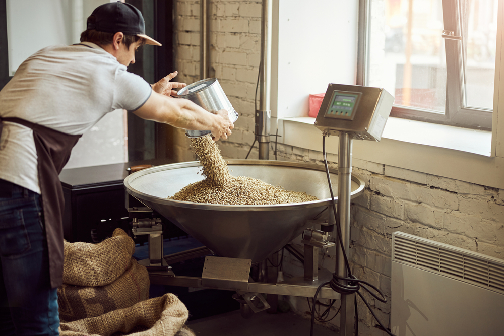 Young worker weighing green coffee beans checking reading on a digital display