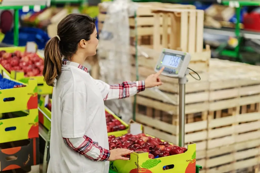 Crate of apples being weighed using a newly calibrated weighing scale